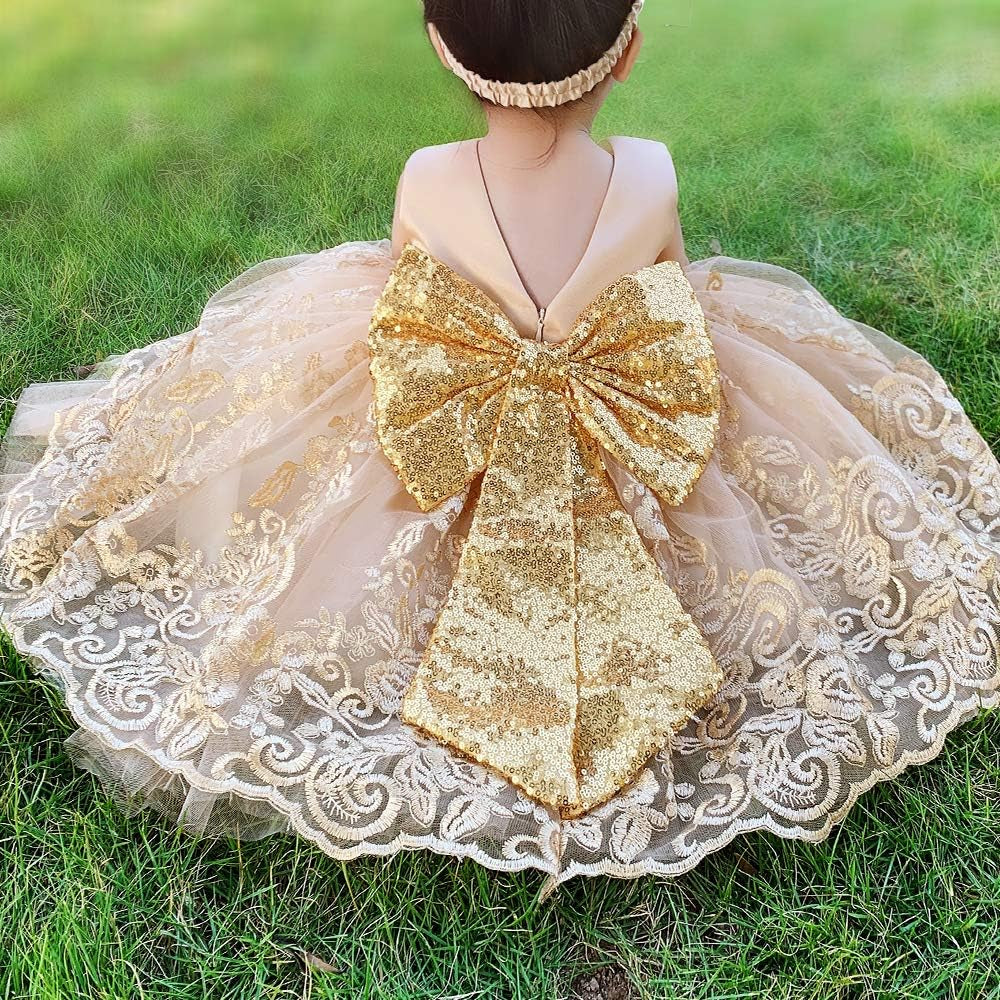 0-6 Years Baby Girls Pageant Lace Embroidery Dresses Toddler Formal Dress with Headwear