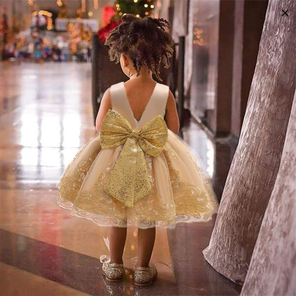 0-6 Years Baby Girls Pageant Lace Embroidery Dresses Toddler Formal Dress with Headwear